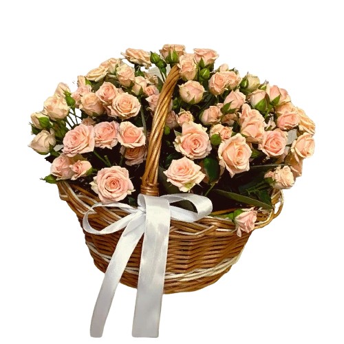 Монро Монро